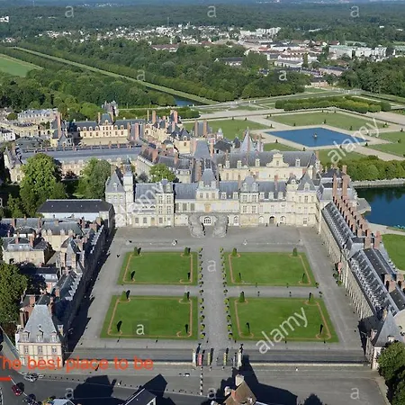 Great Flat In Fontainebleau