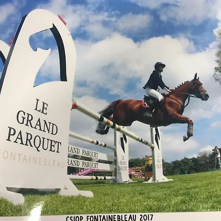 Daire Great Flat In Fontainebleau